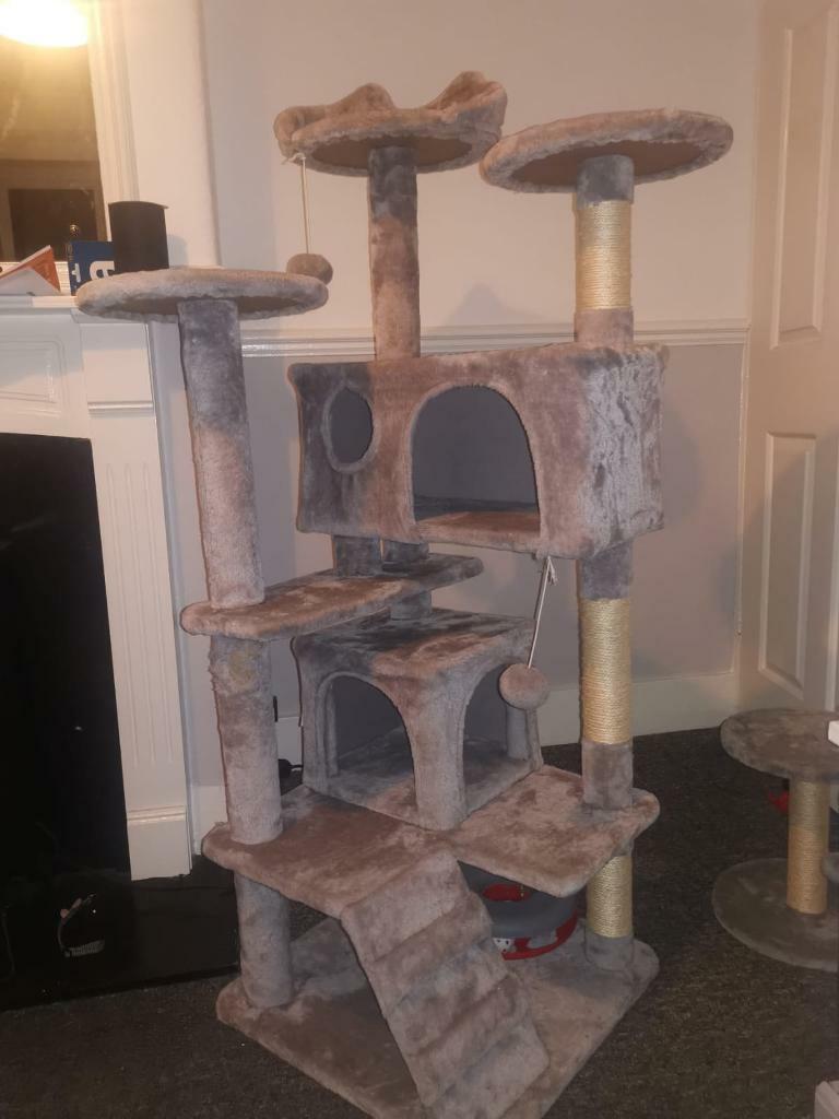 cat tower gumtree
